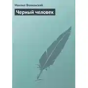 Постер книги Черный человек