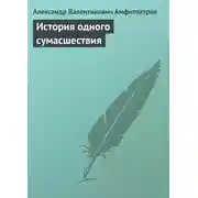 Постер книги История одного сумасшествия