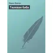 Постер книги Тюлевая баба