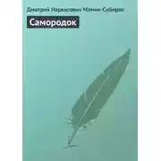 Постер книги Самородок