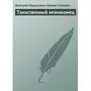 Постер книги Таинственный незнакомец