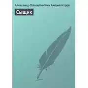 Постер книги Сыщик