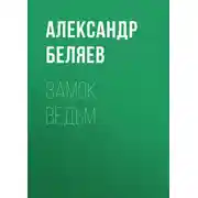 Постер книги Замок ведьм
