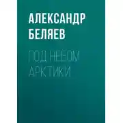 Постер книги Под небом Арктики