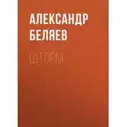 Постер книги Шторм