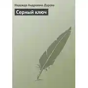 Постер книги Серный ключ