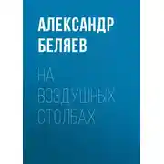 Постер книги На воздушных столбах