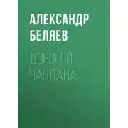 Постер книги Дорогой Чандана