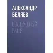 Постер книги Воздушный змей