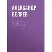 Постер книги ВЦБИД