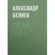 Постер книги Слепой полёт
