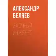 Постер книги Заочный инженер