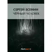 Постер книги Черный человек