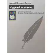 Постер книги Чудный мальчик