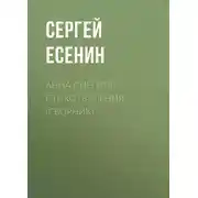 Постер книги Анна Снегина. Стихотворения (сборник)