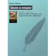 Постер книги Шило в мешке