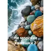 Постер книги Не морские камешки 2