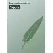 Постер книги Сирота