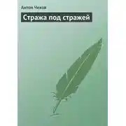 Постер книги Стража под стражей