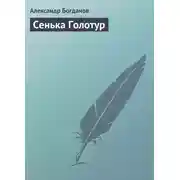 Постер книги Сенька Голотур