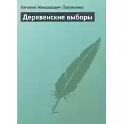 Постер книги Деревенские выборы