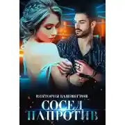 Постер книги Сосед напротив