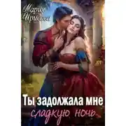 Постер книги Ты задолжала мне сладкую ночь