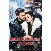 Постер книги Новогоднее желание на двоих - Екатерина Рыжая