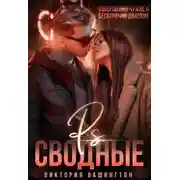 Постер книги P.S. Сводные