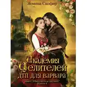 Постер книги Академия целителей. ДТП для варвара