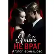 Постер книги Я тебе не враг