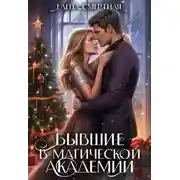 Постер книги Бывшие в магической академии