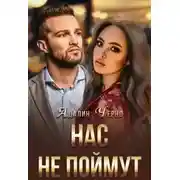 Постер книги Нас не поймут