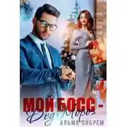 Постер книги Мой босс - Дед Мороз