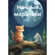 Постер книги Ночные моральки