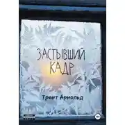 Постер книги Застывший кадр