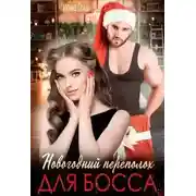 Постер книги Новогодний переполох для босса