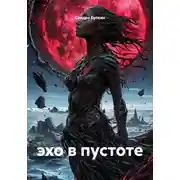 Постер книги эхо в пустоте