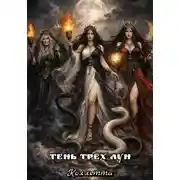Постер книги Тень трёх лун