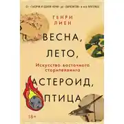 Постер книги Весна, лето, астероид, птица: Искусство восточного сторителлинга