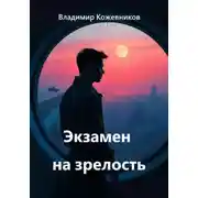 Постер книги Экзамен на зрелость