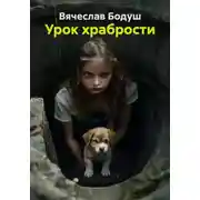 Постер книги Урок храбрости