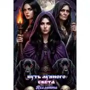 Постер книги Путь лунного света