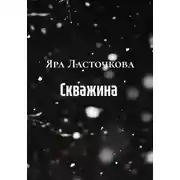 Постер книги Скважина