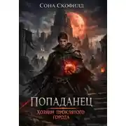 Постер книги Попаданец. Хозяин проклятого города