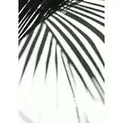 Постер книги ak_b2