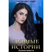 Постер книги Лунная невеста