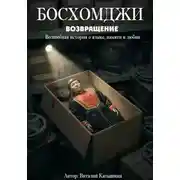Постер книги Босхомджи. Возвращение
