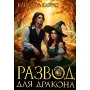 Постер книги Развод для дракона