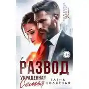 Постер книги Развод. Украденная семья